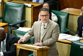 Minister of Water, Environment and Climate Change, Hon. Matthew Samuda, addresses the House of Representatives on January 13.

