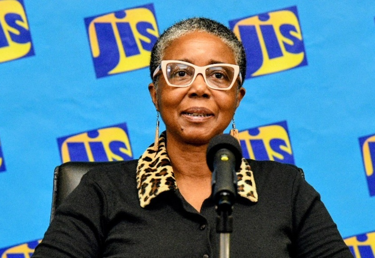 Scientific Officer, Earthquake Unit, Karleen Black, addresses a recent JIS Think Tank.

