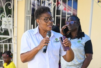 Parish Manager at the Social Development Commission (SDC) in St. Thomas, Lorian Peart-Roberts, speaks during the second staging of the parish's Economic Village on December 19, at the SDC complex.