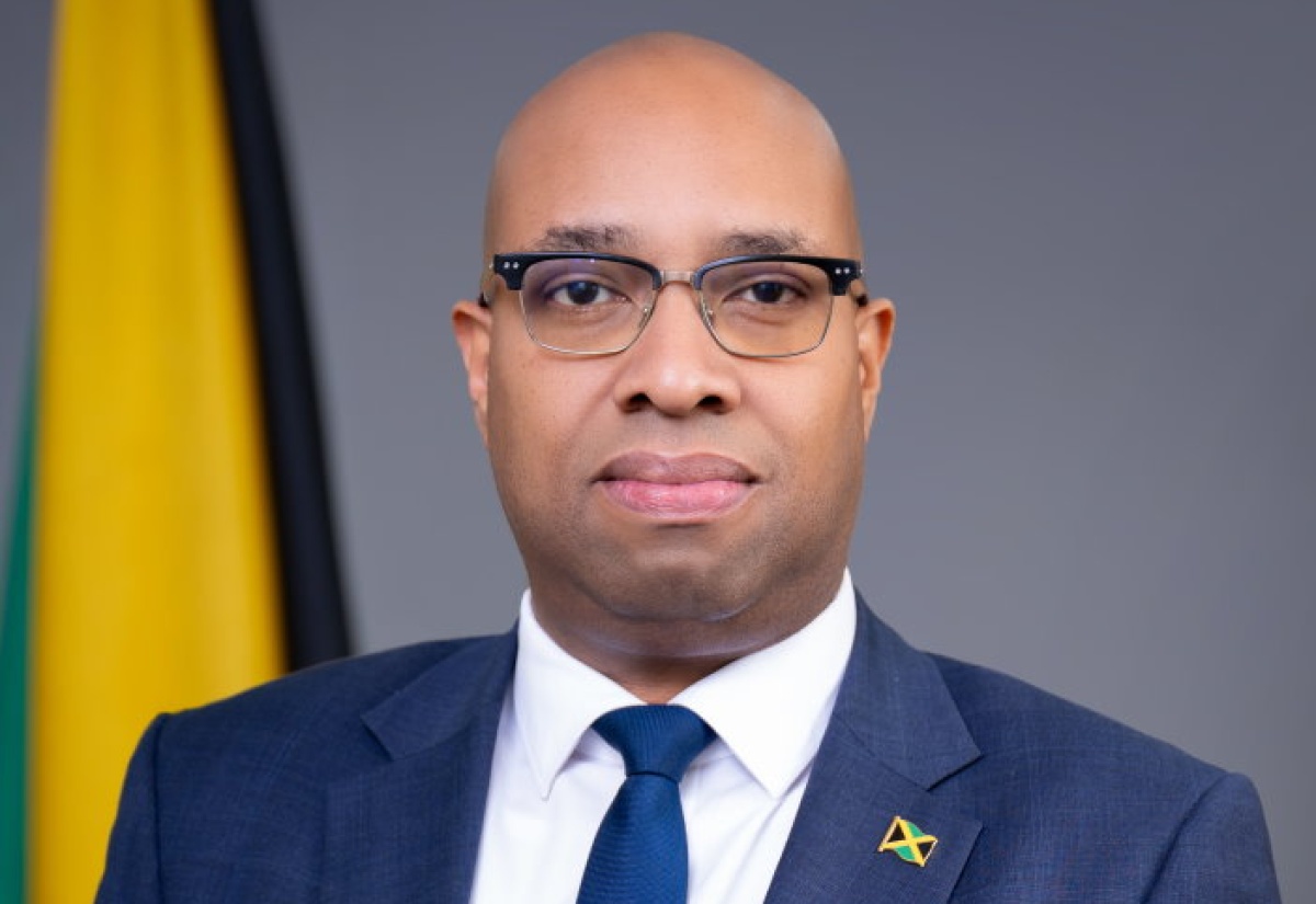 State Minister in the Ministry of Industry, Investment and Commerce, Hon. Delano Seiveright.

