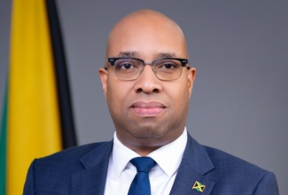 State Minister in the Ministry of Industry, Investment and Commerce, Hon. Delano Seiveright.

