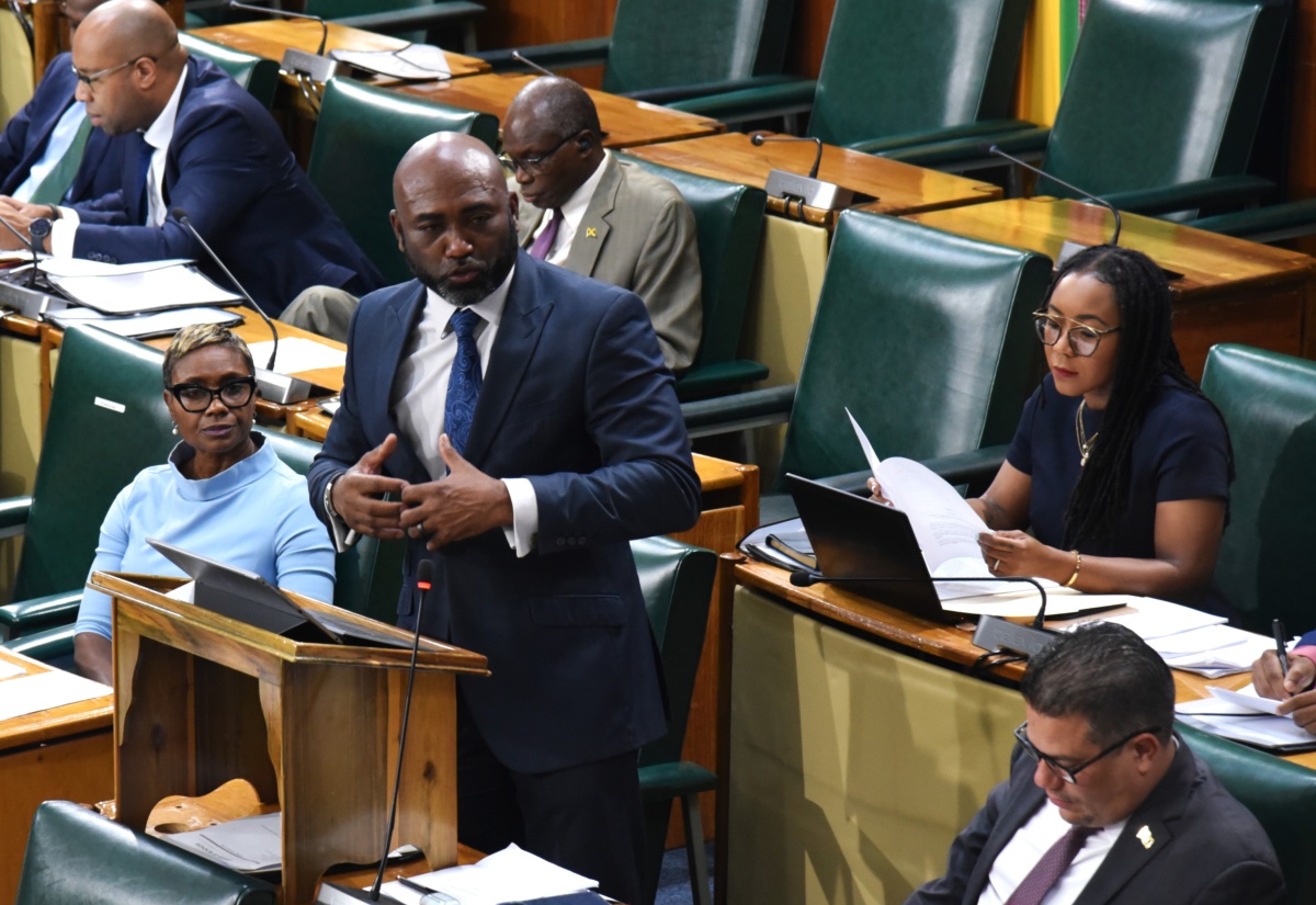 Minister without Portfolio in the Office of the Prime Minister with Responsibility for Science, Technology and Special Projects, Dr. the Hon. Andrew Wheatley, addresses the House of Representatives on Tuesday (January 27).

