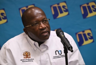 Director of Commercial Operations at the National Irrigation Commission (NIC), Wayne Barrett, addresses a recent JIS Think Tank.