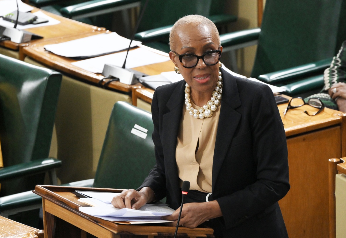 Financial Investigations Division Act Amended