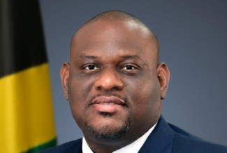 Parliamentary Secretary in the Ministry of Education, Skills, Youth and Information, Senator Marlon Morgan.

