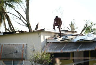 A homeowner in Black River, St. Elizabeth conducts roof repairs in the aftermath of Hurricane Melissa.