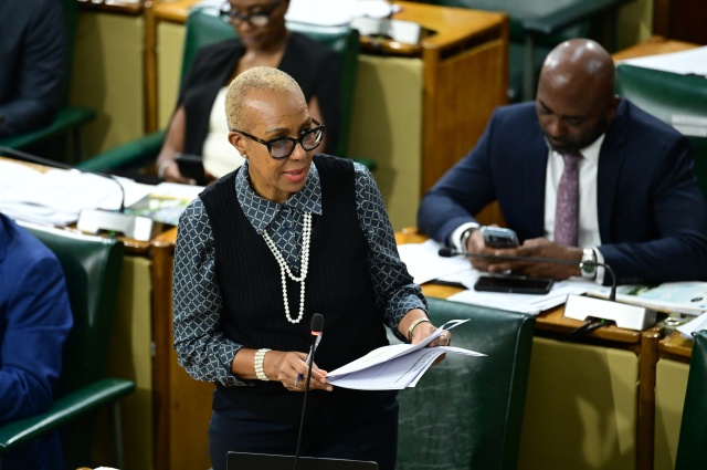 Sub-Sea Fibre-Optic Cable Project to Cost Up to US$55 Million