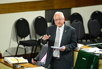 Minister of Justice and Constitutional Affairs, Hon. Delroy Chuck, makes a point during a sitting of the House of Representatives on February 3.

