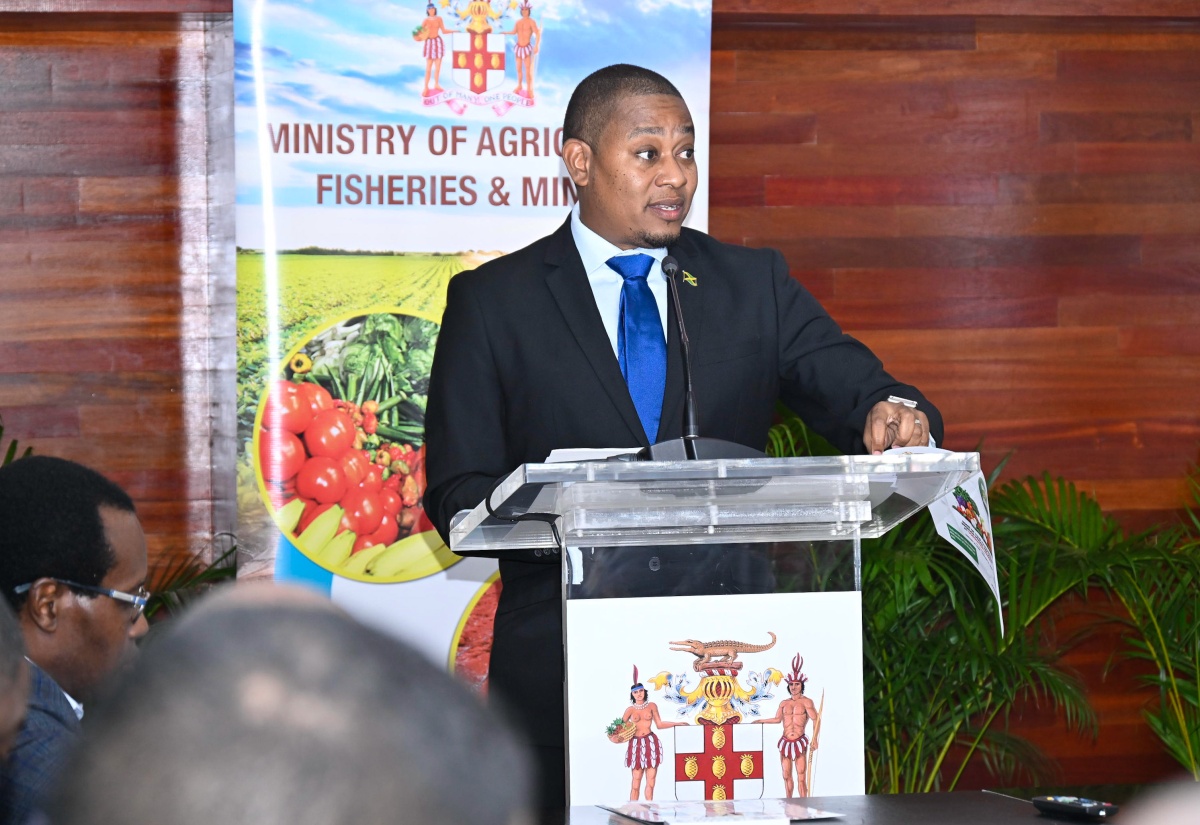 Minister of Agriculture, Fisheries and Mining, Hon. Floyd Green, provides an update on the agriculture sector’s recovery from Hurricane Melissa at a press briefing held at the Ministry’s head office in Hope Gardens in St. Andrew on January 20. 

