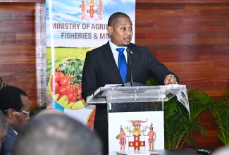 Minister of Agriculture, Fisheries and Mining, Hon. Floyd Green, provides an update on the agricultural sector’s recovery from Hurricane Melissa at a press conference held at the Ministry’s head office in Hope Gardens, in Kingston, recently. 

