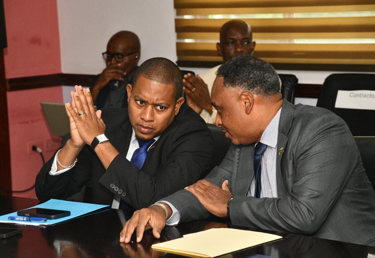 Gov’t Launches $880m REDI-II Greenhouse Project to Strengthen Climate-Resilient Agriculture