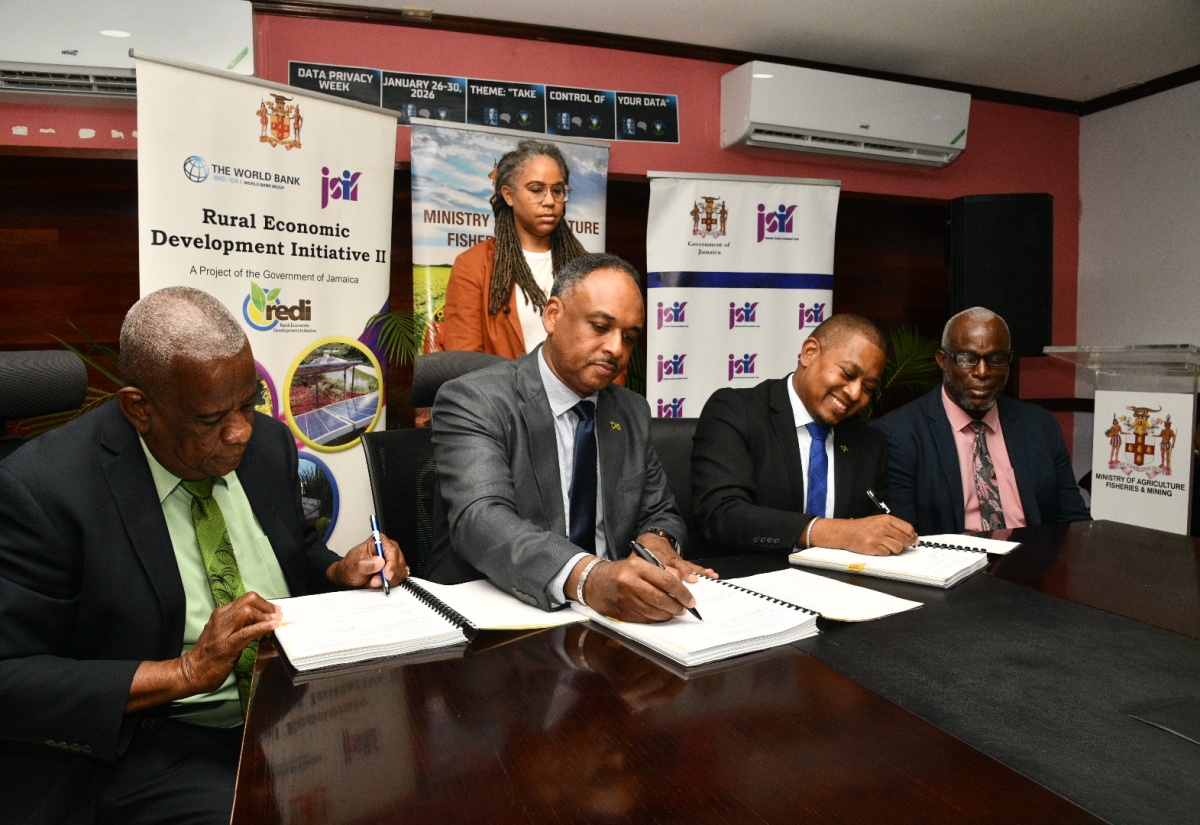 Gov’t Launches $880m REDI-II Greenhouse Project to Strengthen Climate-Resilient Agriculture