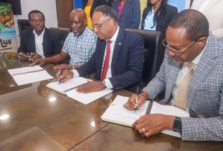 Jamaica Social Investment Fund (JSIF) Managing Director, Omar Sweeney (second right), affixes his signature to the contract to rehabilitate Bath Botanical Gardens in St. Thomas, during Thursday’s (February 5) contract-signing ceremony at JSIF’s Richmond Avenue offices in Kingston. Also participating in the signing (from left) are Chief Technical Director, Special Projects in the Ministry of Agriculture, Fisheries and Mining, Courtney Cole; Project Manager at SM Quality Construction, Roger Smith; and Chief Technical Director in the Ministry of Tourism, David Dobson. 

