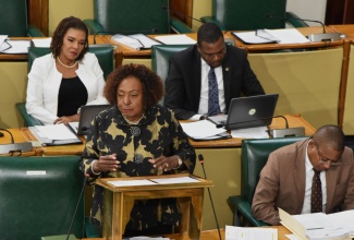 Minister of Culture, Gender, Entertainment and Sport, Hon. Olivia Grange, addresses a recent sitting of the House of Representatives.