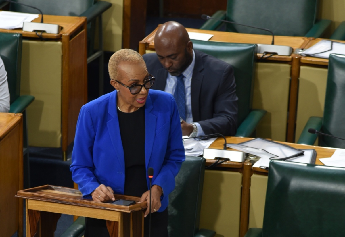 House Approves Changes to Asset Tax, Income Tax Acts