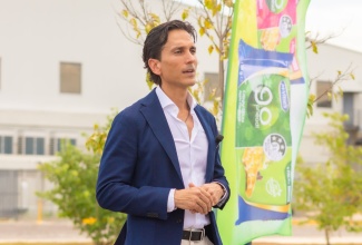 Executive Chairman and Chief Executive Officer of MJS Industrial and Technology Park, Michael Subratie. 

