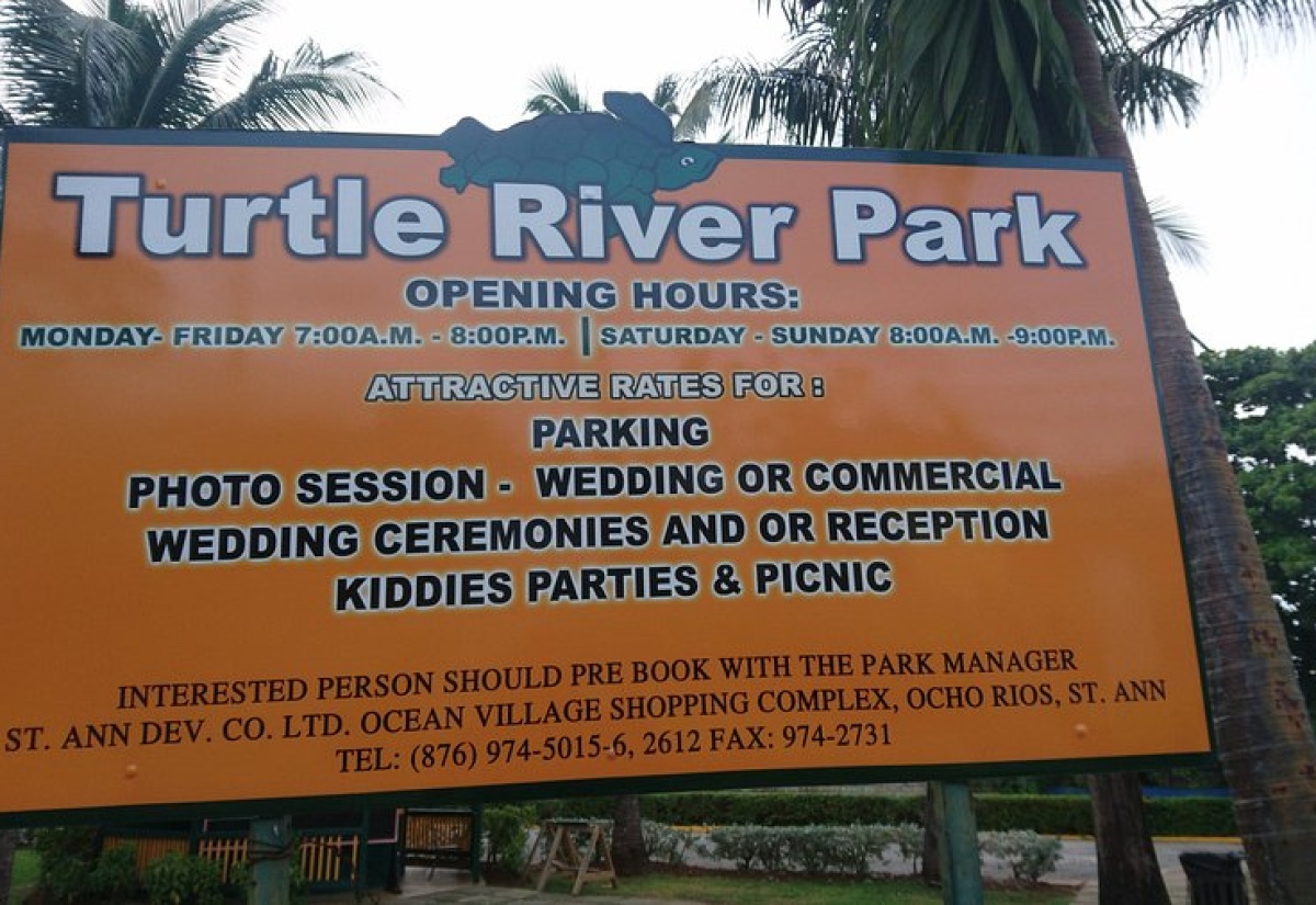 Mayor Suggests Daily Reggae Offering at Turtle River Park in Ocho Rios