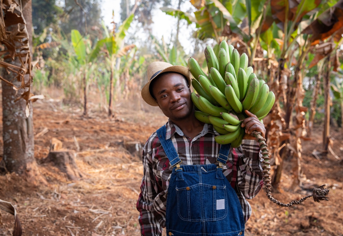 The Agricultural Warden Programme