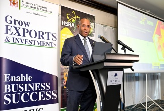 Minister of Industry, Investment and Commerce, Senator the Hon. Aubyn Hill, addresses the Hazardous Substance Regulatory Authority’s Chief Executive Officer (CEO) Breakfast and Workshop at The Jamaica Pegasus hotel in New Kingston on Wednesday (March 11).