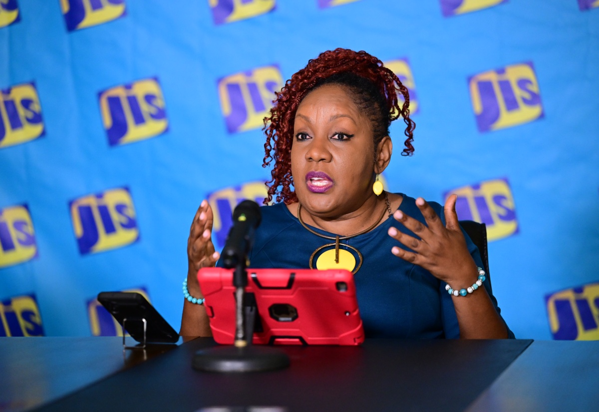 YWOP/YMOP Urges Western Jamaica Entrepreneurs to Access Training and Support