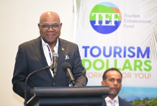 Minister of Tourism, Hon. Edmund Bartlett, addresses the recent launch of the Carnival in Jamaica Economic Impact Assessment Findings,
held at The Jamaica Pegasus hotel in New Kingston.