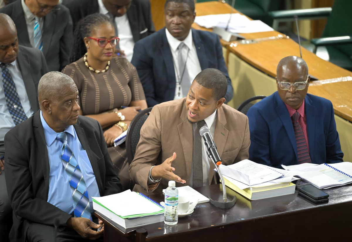 Broiler Chicken Supply to Stabilise This Month