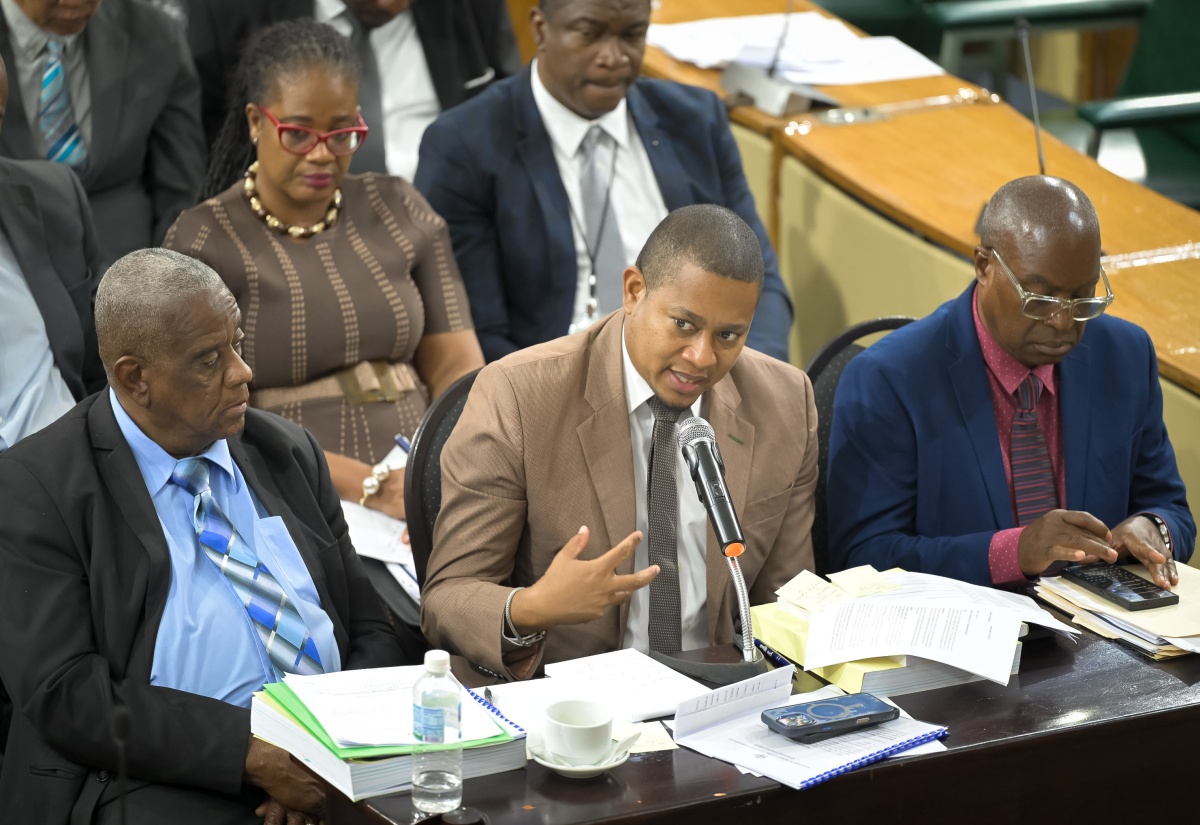 Minister of Agriculture, Fisheries and Mining, Hon. Floyd Green is flanked by State Minister, Hon. Franklin Witter (left) and Permanent Secretary, Dermon Spence (right) as he addresses the sitting of the Standing Finance Committee on Friday (March 6) at Gordon House.