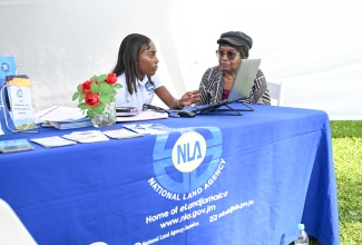 Lands Officer for Portland at the National Land Agency (NLA), LaRose Senior (left), engages with a resident at the National Housing Trust Mini-Expo, held at the Errol Flynn Marina in Port Antonio, Portland, on March 13.