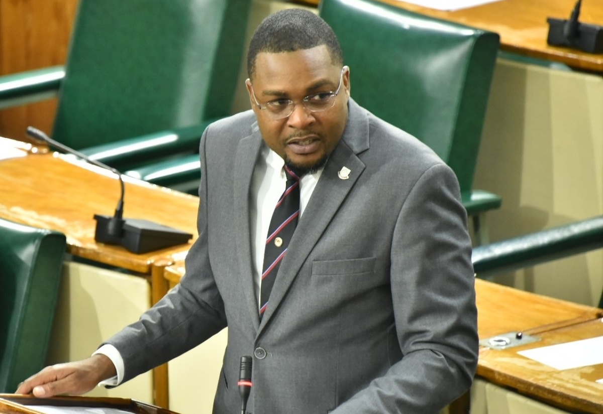 Minister without Portfolio in the Ministry of Economic Growth and Infrastructure Development, Hon. Robert Morgan.

