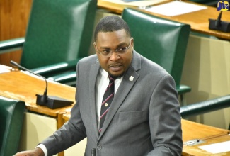 Minister without Portfolio in the Ministry of Economic Growth and Infrastructure Development, Hon. Robert Morgan.


