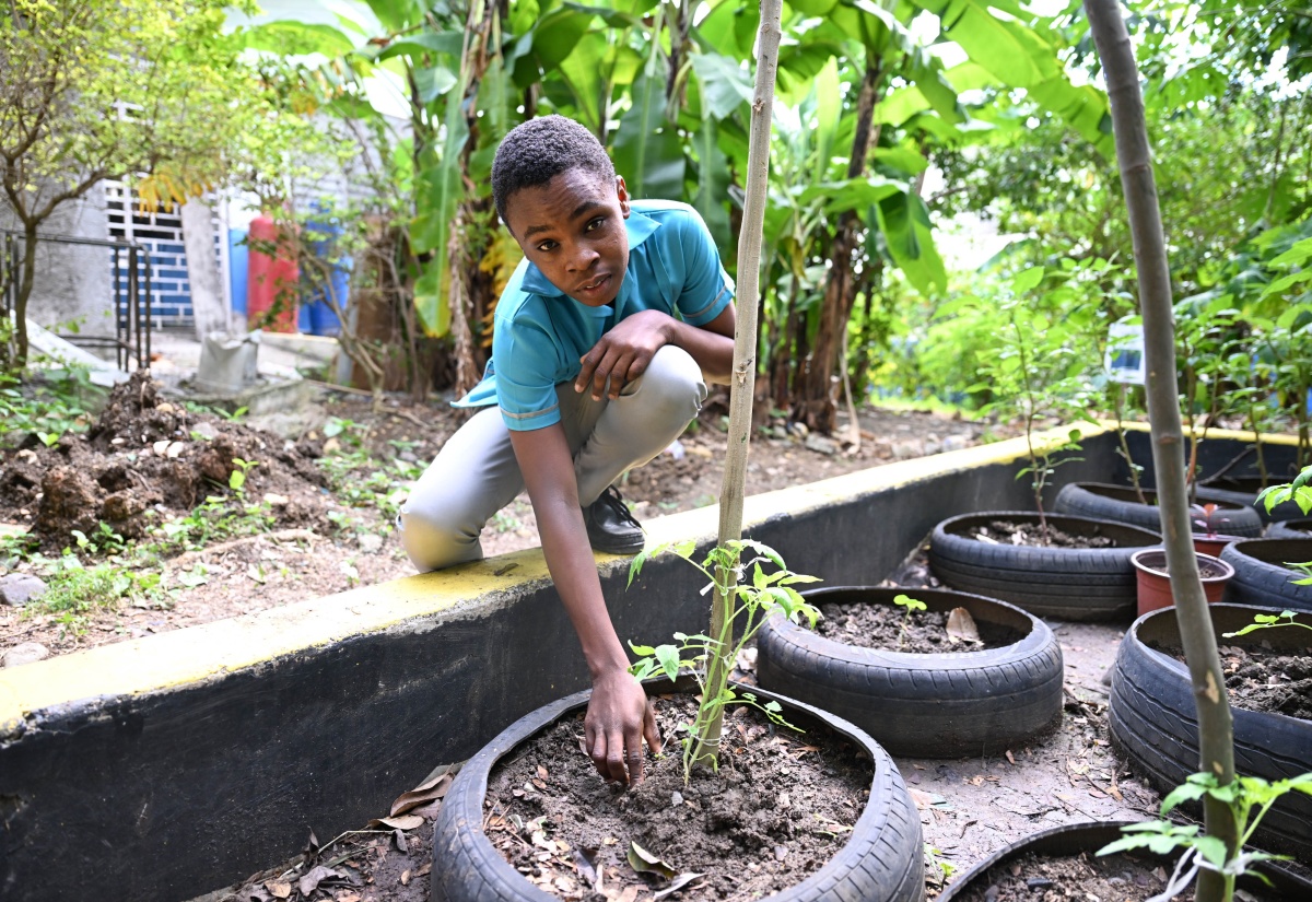 ENA Barclay Academy Of Excellence Blazing A Trail In Special Needs Education