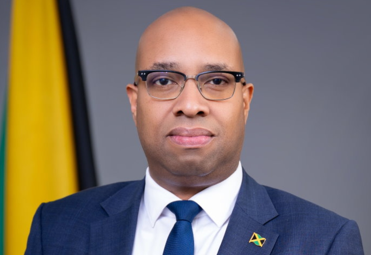 State Minister in the Ministry of Industry, Investment and Commerce, Hon. Delano Seiveright.

