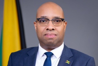 State Minister in the Ministry of Industry, Investment and Commerce, Hon. Delano Seiveright.

