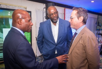 Minister of Industry, Investment and Commerce, Senator the Hon. Aubyn Hill (left), engages in discussion with Acting Chief Executive Officer of the Jamaica Business Development Corporation (JBDC), Harold Davis (centre), and Deputy Head of Cooperation at the European Union Delegation to Jamaica, Belize, The Bahamas, Turks and Caicos and the Cayman Islands, Koenraad Burie, during the launch of the JBDC Biz Wiz online learning platform at The Jamaica Pegasus hotel in New Kingston on Thursday (March 5).

