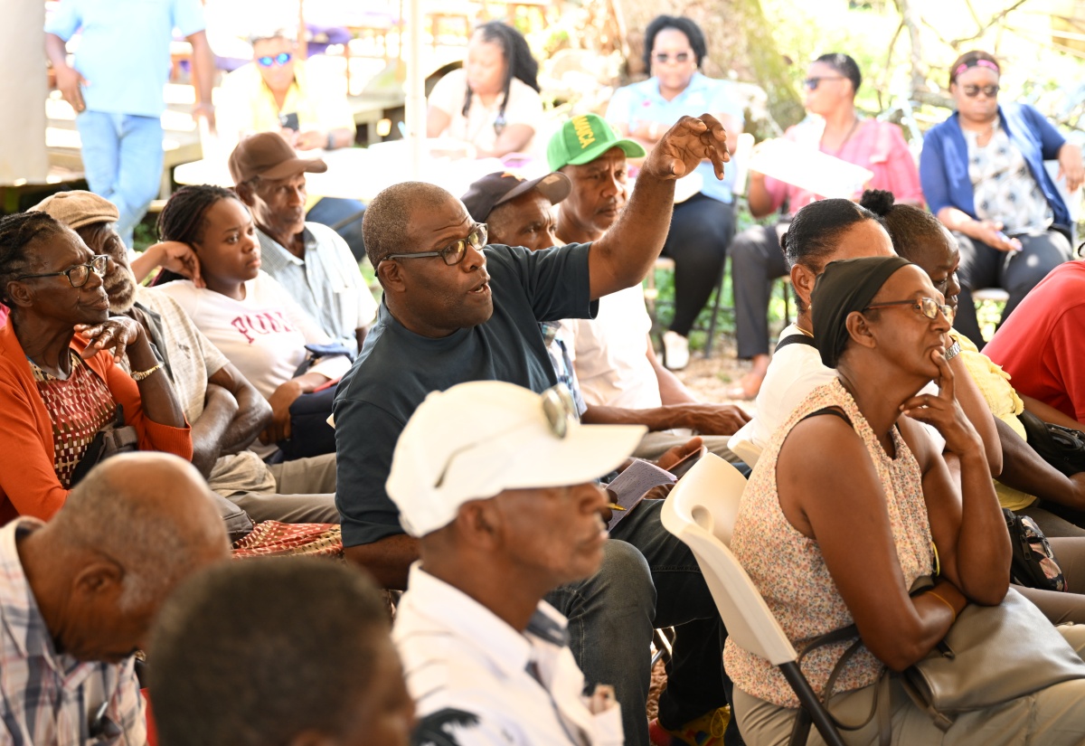 Banana and Plantain Farmers In St. Elizabeth Receive Fertiliser and Training