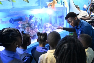 Outreach Officer at the University of the West Indies (UWI) Discovery Bay Marine Laboratory in St. Ann, Jason Grant, engages students of Waltham Abbey Primary and Infant School and Discovery Bay Primary and Infant School in St. Ann in an interactive showcase of the new Immersive Marine Ecosystem Hallway Experience, officially launched on Monday (March 16).

