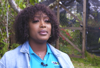 Coordinator of Flora at the National Environment and Planning Agency (NEPA), Samantha Grant, discusses the agency’s role in safeguarding Jamaica’s native and endemic plant species during an interview ahead of World Wildlife Day 2026.

