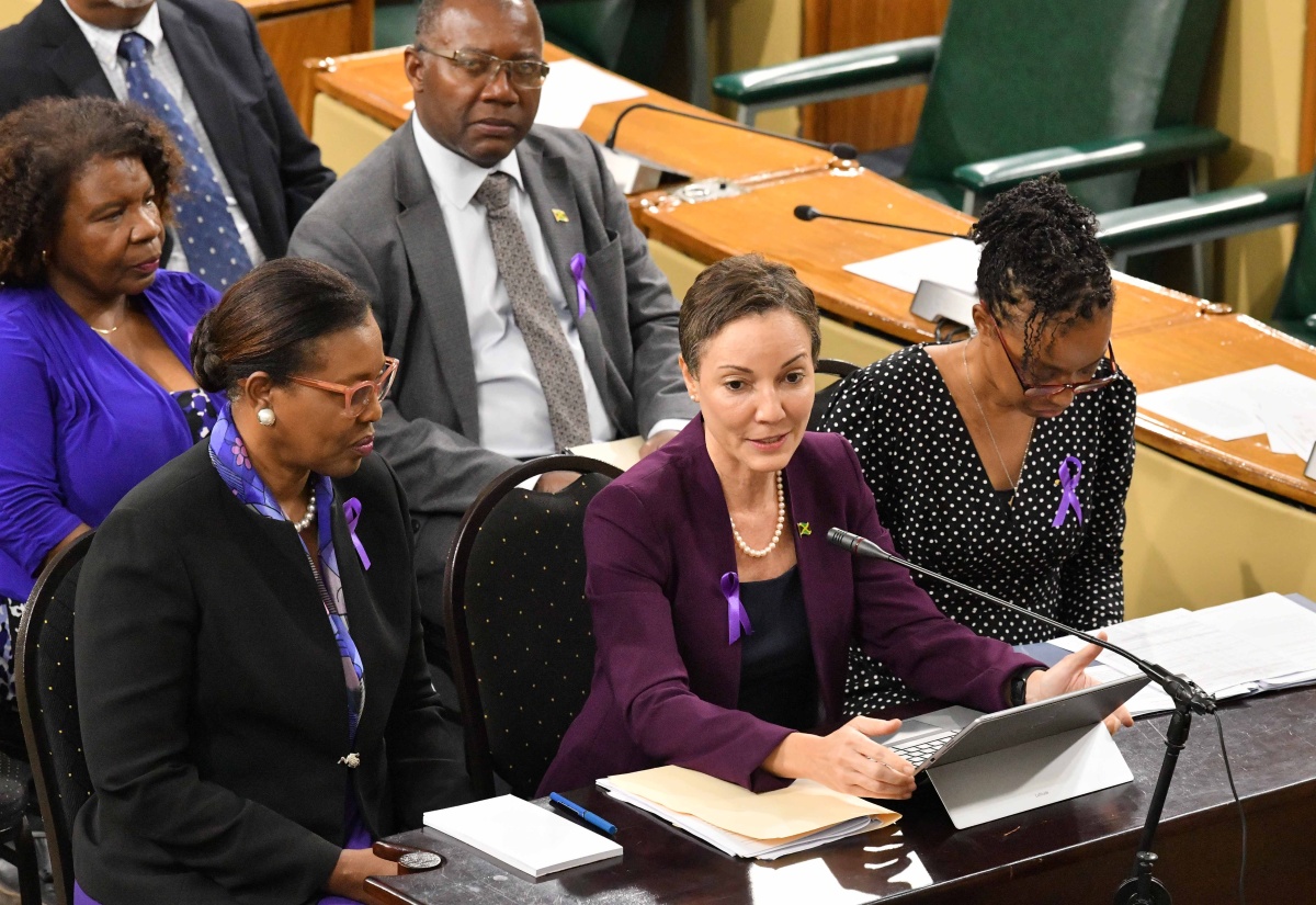 Ministry of Foreign Affairs and Foreign Trade Operations Under Review