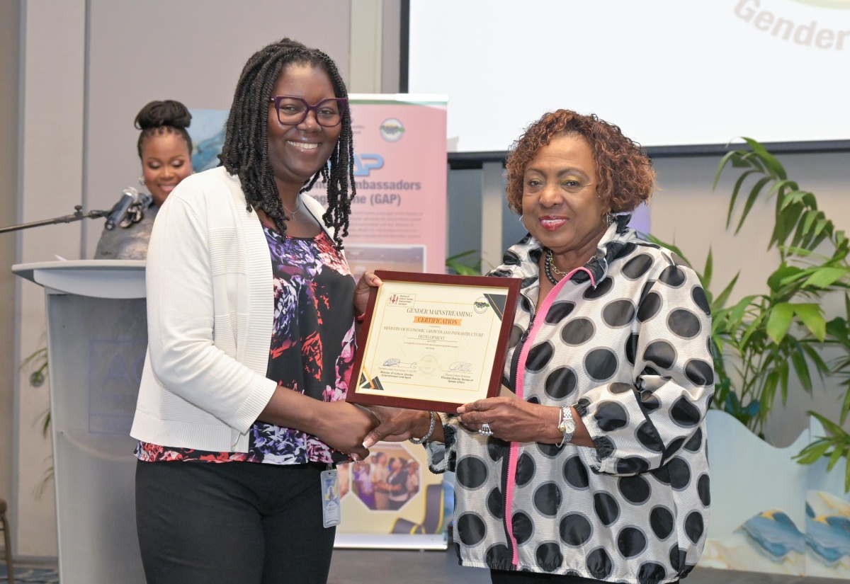 MDAs Encouraged to Steadfastly Advance Gender Equality