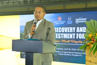 Minister of Agriculture, Fisheries and Mining, Hon. Floyd Green, delivers the main address during the Rural Agricultural Development Authority (RADA) Recovery and Investment Forum held at the Ministry's Playing Field in Hope Gardens, St Andrew, on Tuesday (April 28). 

