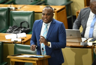 Government Senator, Abka Fitz-Henley, speaks during the Senate's sitting at Gordon House on April 17.
