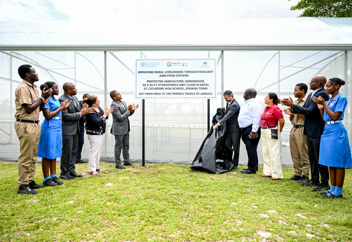IRL Project Transforms Agricultural Practices in Kitson Town