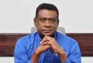 Executive Director of the National Healthcare Enhancement Foundation, Courtney Cephas.