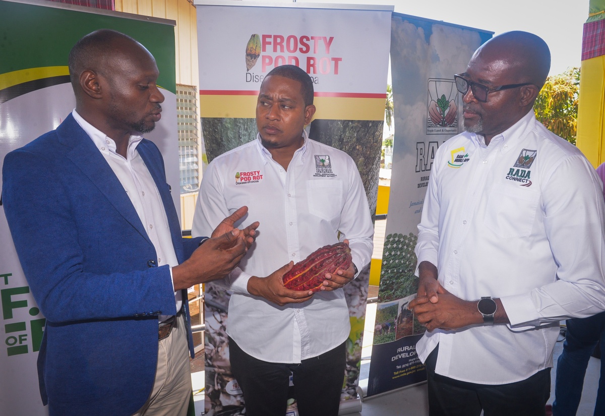 Trained Cocoa Farmers Receive Seeds and Tools