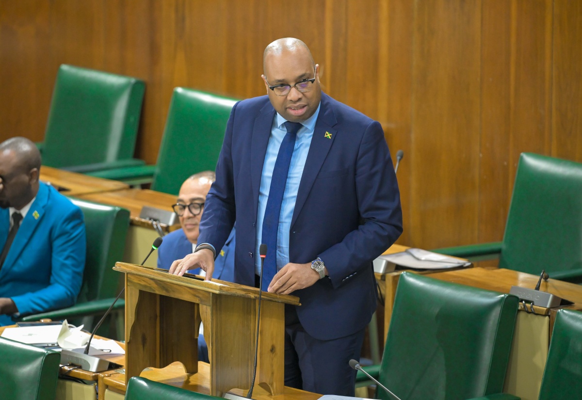 NaRRA Bill Rooted In National Urgency – State Minister Seiveright