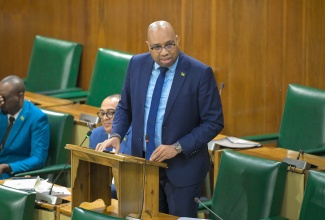 State Minister in the Ministry of Industry, Investment and Commerce, Hon. Delano Seiveright, addresses the House of Representatives on Tuesday (April 21).