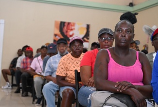 Butchers and butchers’ associates attend the annual Portland Butchers Licensing Session held at Hotel Tim Bamboo in Port Antonio on April 27. 
