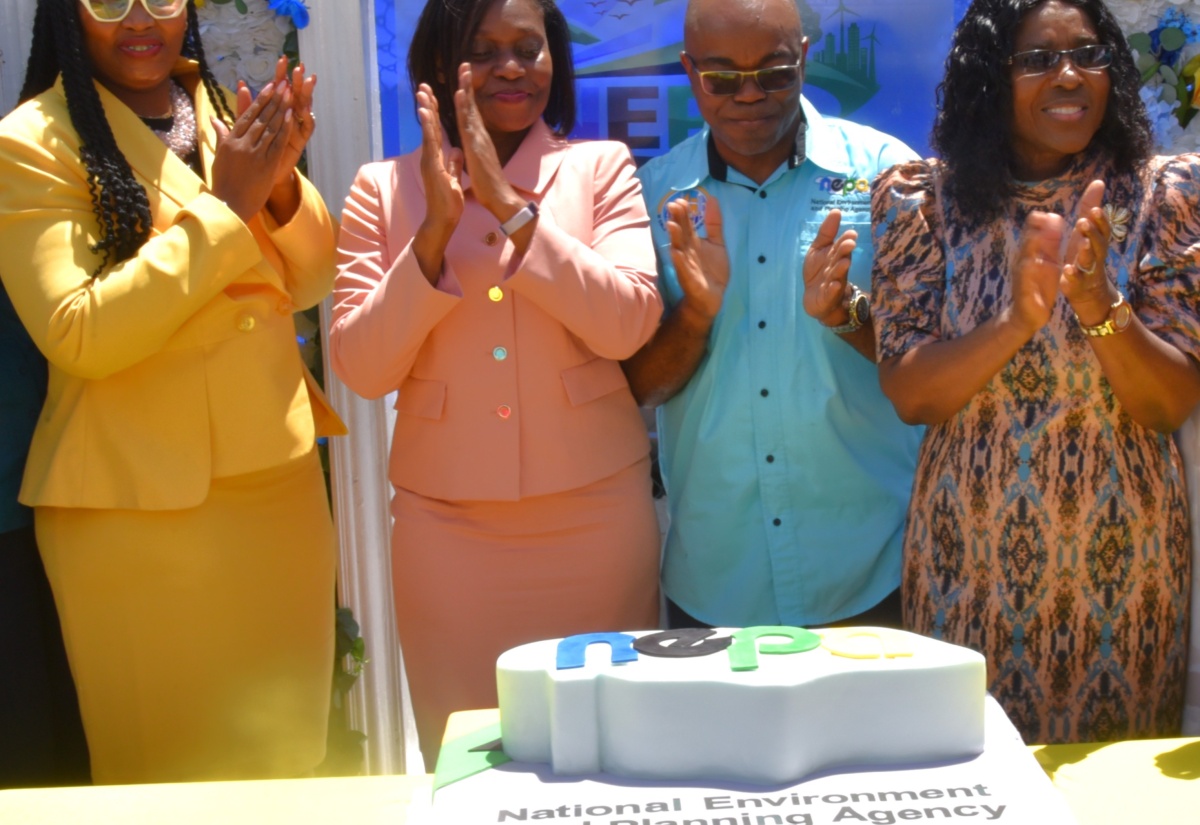 PHOTOS: NEPA Celebrates 25 Years