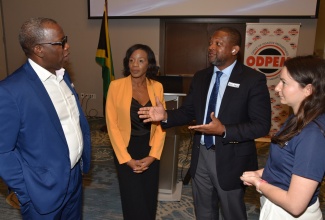 Director-General of the Office of Disaster Preparedness and Emergency Management (ODPEM), Commander Alvin Gayle (second right), makes a point to stakeholders during the ‘Hurricane Melissa: Maritime Lessons Learned’ Workshop, held at the AC Marriott Hotel in Kingston on Tuesday (April 14). Listening keenly (from left) are Chairman of the Port Management Association of the Caribbean (PMAC), Darwin Telemaque; Managing Director at Jamaica Bauxite Mining (JBM) Limited, Donna Marie Howe and Maritime Engagements Manager at Global Support and Development (GSD), Eva Martin.
