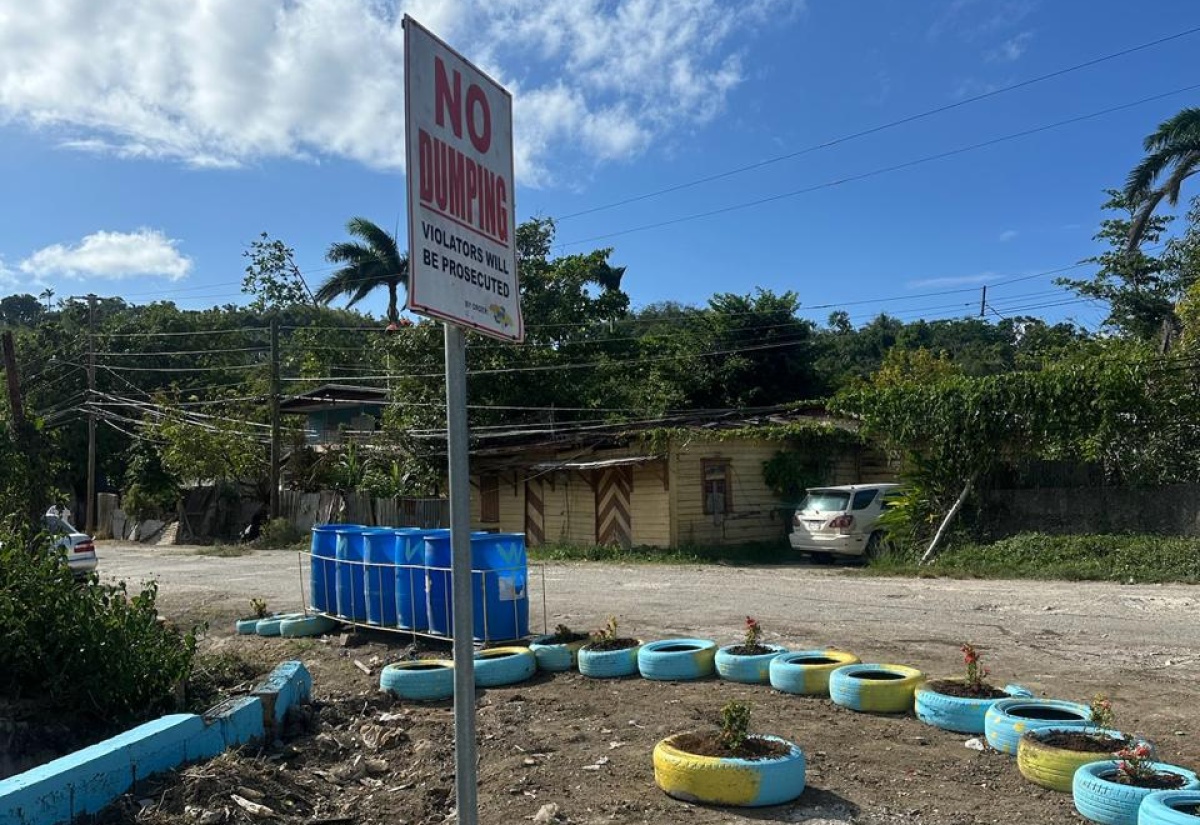 Major Cleanup Project in Hoist Brissett, Hanover